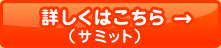 詳しくはこちら（サミット）